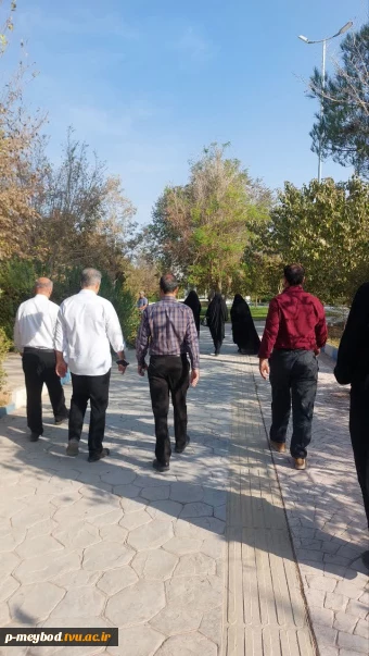  برگزاری پیاده‌روی کارکنان آموزشکده پسران میبد به مناسبت هفته تربیت بدنی 4